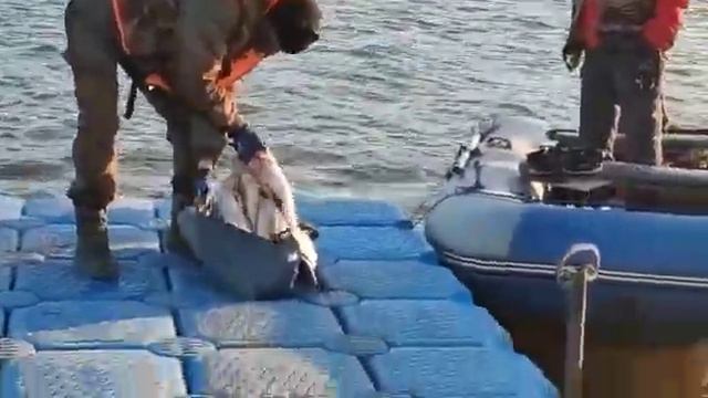 база ФораФиш, вечером встречаем с рыбалки смотреть онлайн
