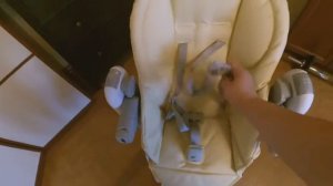Стульчик для кормления PegPerego Tatamia. Обзор и видео инструкция. Отзывы!