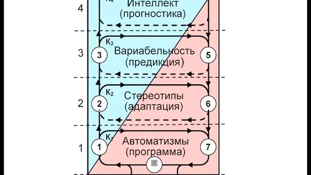 ОБЩАЯ ТЕОРИЯ УПРАВЛЕНИЯ 15 - ВНД смотреть онлайн