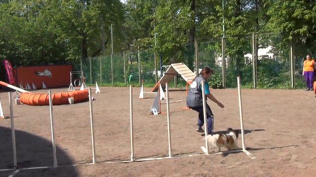 A2 Small-2 Тимина Любовь и папильон Чикаго Бой смотреть онлайн