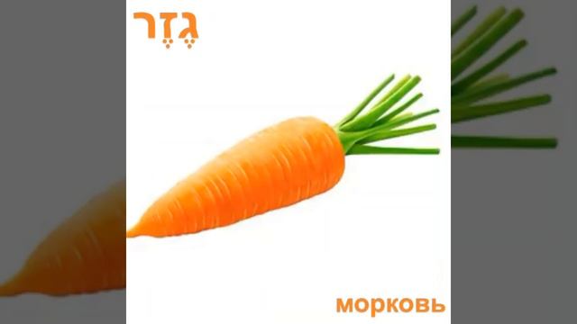 Названия овощей и зелени смотреть онлайн