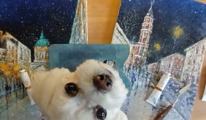 Какие белила выбрать, цинковые или титановые?