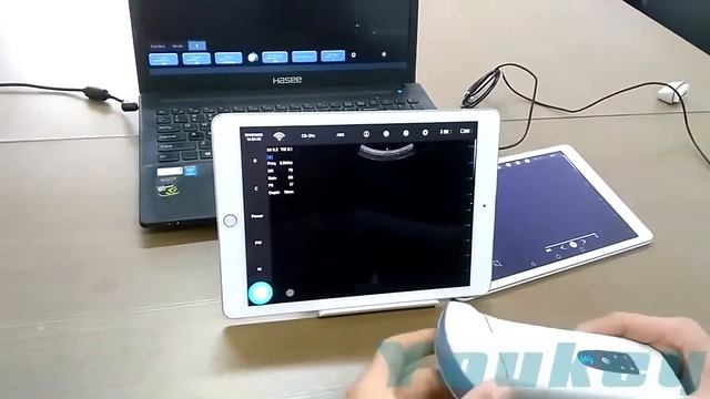 Demo installation D3i Wi-Fi ultrasound dual head probe. смотреть онлайн