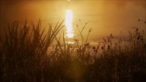 Красивый рассвет в деревне  Восход солнца в деревне над рекой. Туман над водой