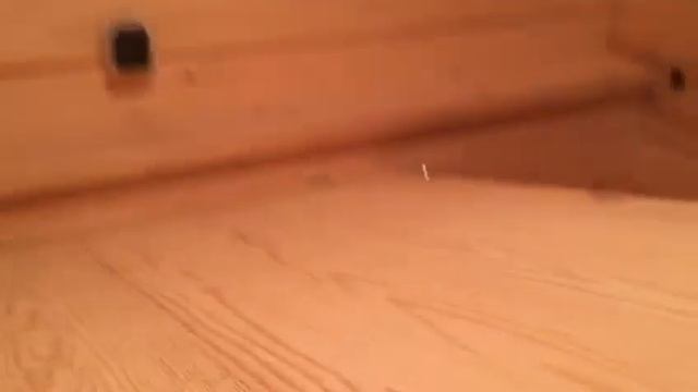Жду вашей подписки!!!! смотреть онлайн