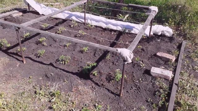 Удобный парник для дачи, просто надёжно не затратно смотреть онлайн