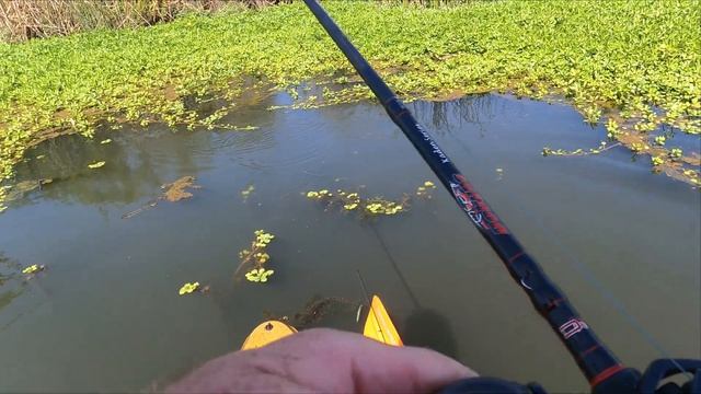 Kayak Fishing The California Delta | Tower Park | Old Town PDL 120 Kayak смотреть онлайн