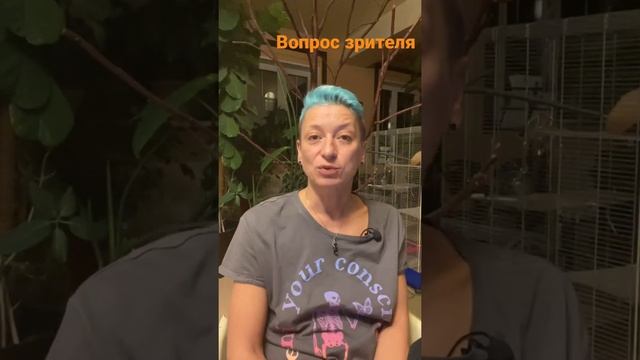 Размножение антуриума семенами : это возможно? смотреть онлайн
