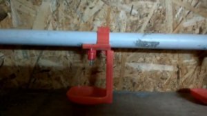 Содержание перепелов. С чего начать.