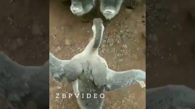 Когда купил новый айфон? смотреть онлайн
