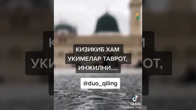 Абдуллох домла таврот инжилни умуман укиманг смотреть онлайн