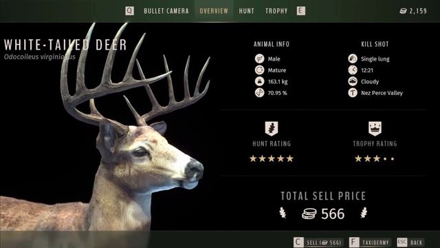 Way of the Hunter — Дневник разработчиков №2 — Сложная система трофеев (Перевод) смотреть онлайн