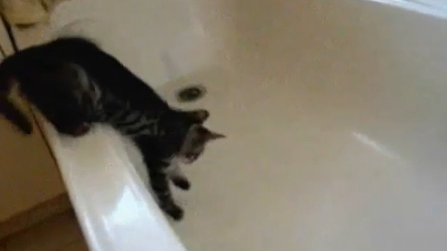 Мегаприколы в гифках смотреть онлайн