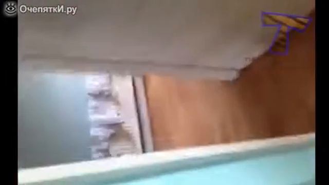 Как Верные Псы Встречают Хозяев) смотреть онлайн