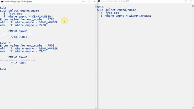 Oracle SQL Difference between substitution variable & and && | Videos contributed by subscribers смотреть онлайн