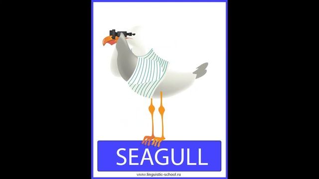 Видеословарь. Названия птиц на английском языке. смотреть онлайн