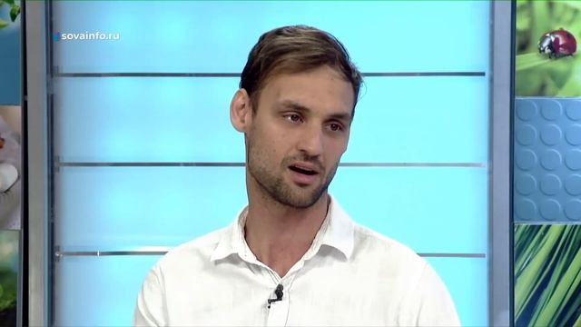 День записной книжки. Утро Губернии смотреть онлайн