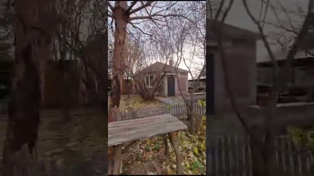 WhatsApp Video 2023 11 03 at 15 14 13 смотреть онлайн