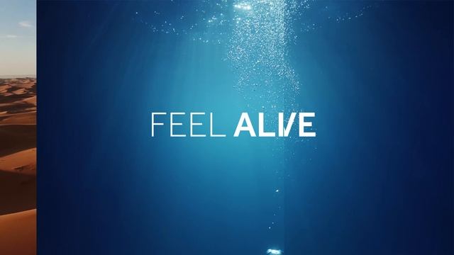 Haier TV Range IFA demo video 2160p 30fps rec.709 смотреть онлайн