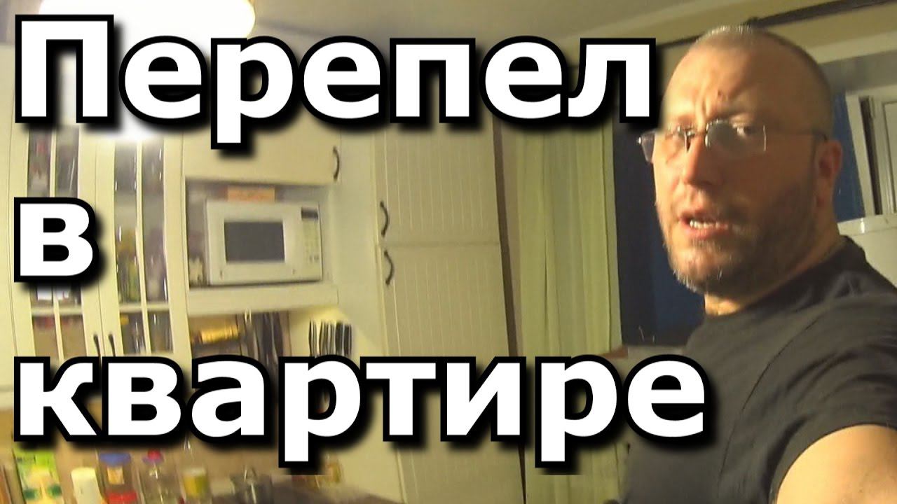 Перепел в квартире ч.2 Недообзор клетки
