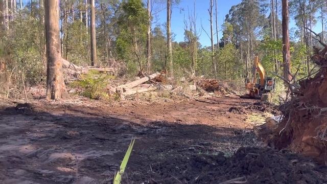 Fire track restoration, Singleton Reserve смотреть онлайн