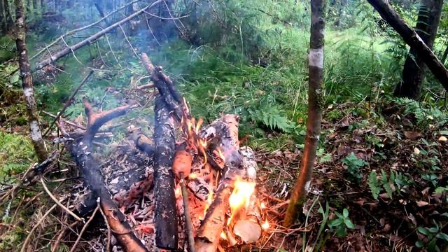 Поход - жарим шпикачки, собираем грибы. смотреть онлайн