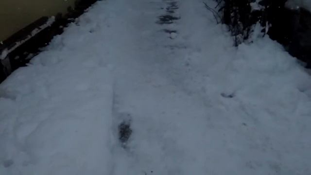 Плов на ужин??упражнение на все группы мышц?? смотреть онлайн