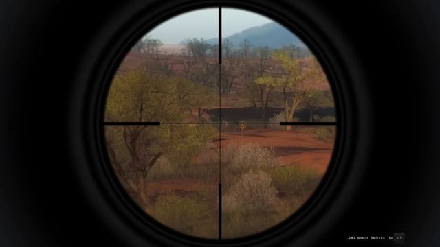 Beginner's Guide To Competitions In TheHunter Classic!