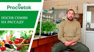 Подготовка семян к посеву. Секреты высокой всхожести и обильных урожаев.