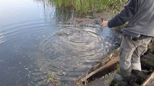 щука старица Оки смотреть онлайн