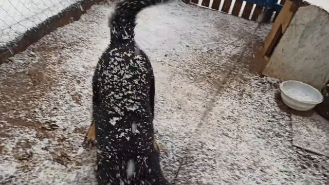 Установили умные счетчики в деревне. Что нас ждет дальше? смотреть онлайн