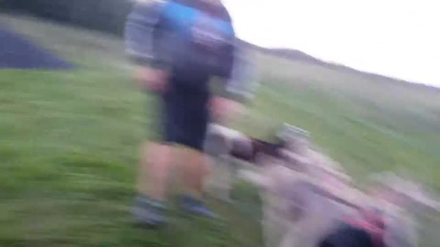 Хаски упряжка 5 собак ленивые))) смотреть онлайн