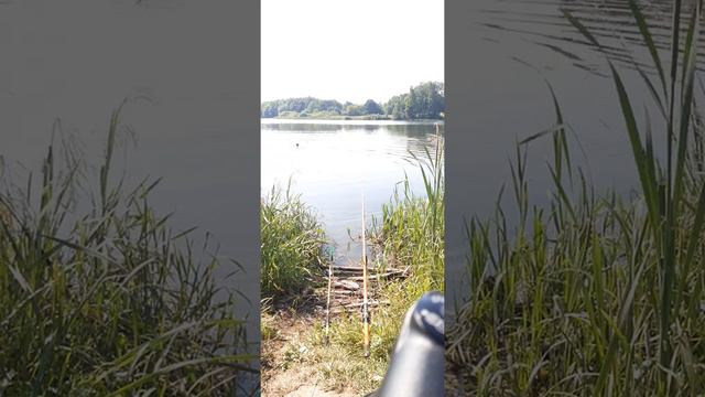 Рыбалка + Купалка смотреть онлайн