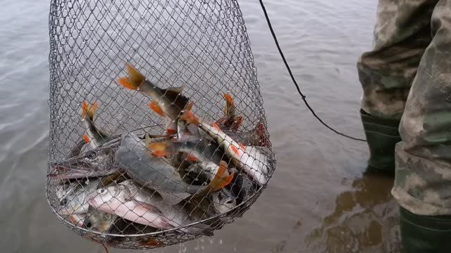 ХАРАБАЛИ база Дом Рыбака осень 2022 Дедушкин Хутор душевный отдых ЧАСТЬ 3 #владимиррадеев #рыбалка