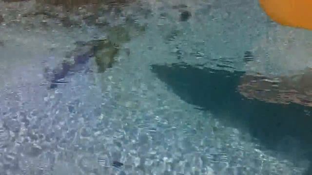 № 758 Дикая Америка Река Weeki Wachee River, Fl