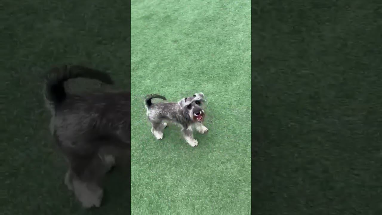 Реакция на детей смотреть онлайн