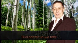 Не для тебя (КАРАОКЕ)