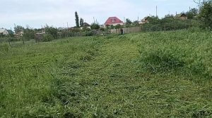 stihl fs 450.покос очень плотной травы .