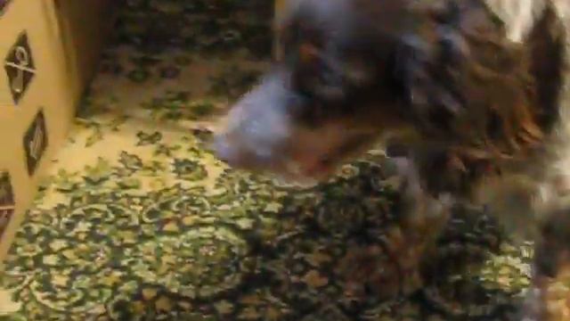 MVI 1818 смотреть онлайн