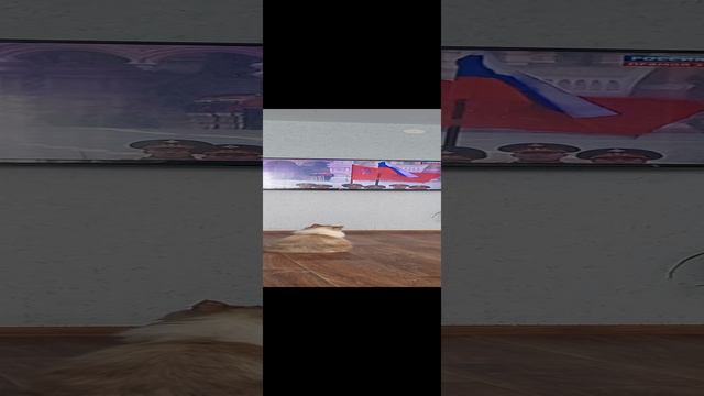 Моя Королева