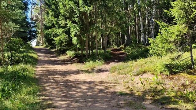 Едем за релаксом! Солнце, воздух и вода - наши лучшие друзья! Синие горы. Let's go for relaxation смотреть онлайн