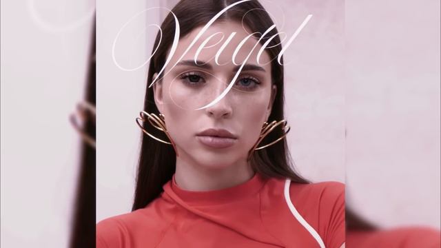 VEIGEL - Прощай (linmuzzzic Remix)