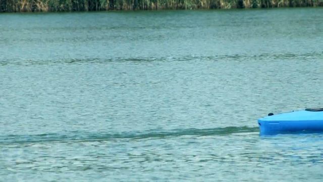 Самар-фест.День города Днепр. смотреть онлайн