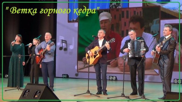 Ветка горного кедра