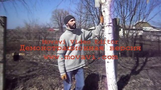 Грибные уголки