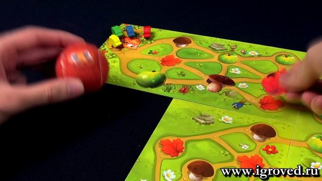 Лучшие игры на возраст 3-4 года. Обзор настольных игр от Игроведа смотреть онлайн