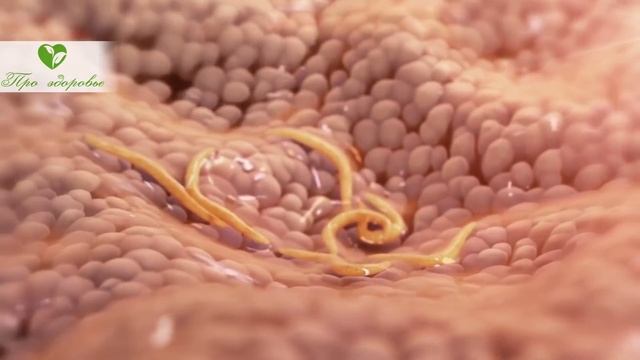 Вы удивитесь, когда узнаете это про тыкву! смотреть онлайн