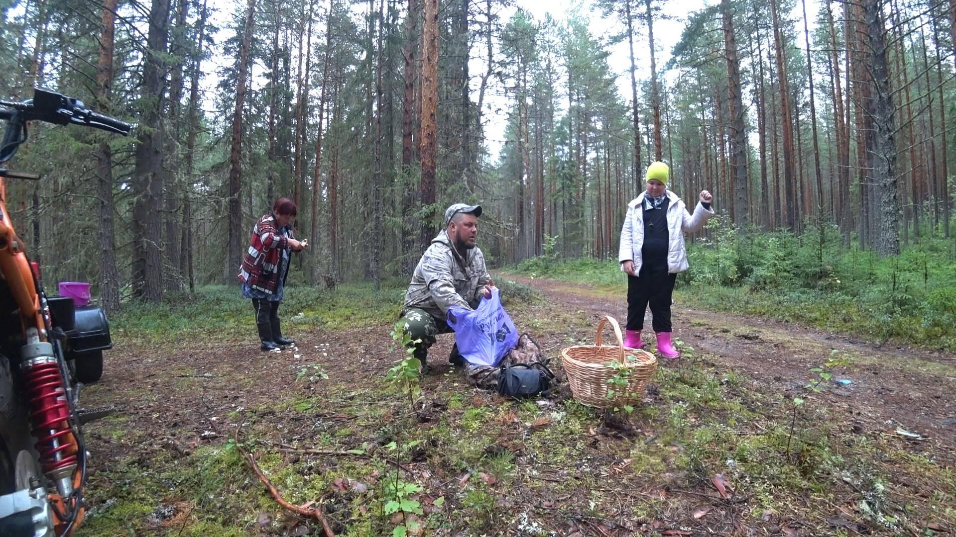 ЗАГОТОВКИ НА ЗИМУ ПОЛНЫМ ХОДОМ! С ДЕВЧОНКАМИ В ЛЕС ЗА КРАСНЫМИ \ СБОР ГРИБОВ, В КРАСИВОМ БОРУ ! смотреть онлайн