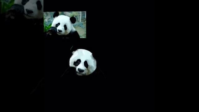 Speed art - Panda - on iPad смотреть онлайн