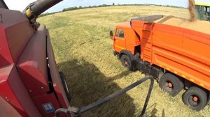 Дон 1500 Б Палессе GS12 МОЛОТИМ ЗЕЛЕНКУ!!